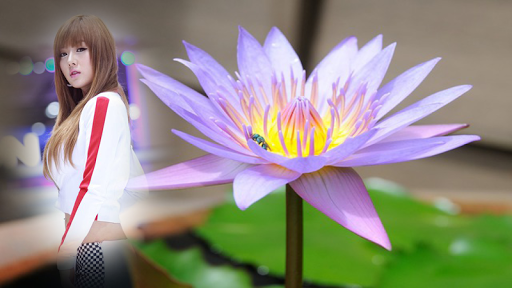 Lotus photo frames costume mon