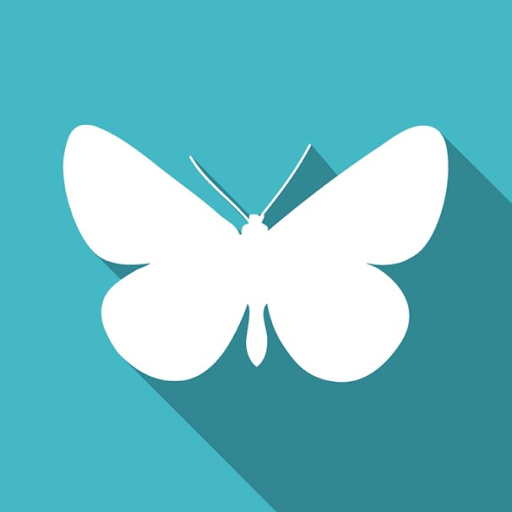Butterflies of Mizoram logo