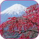 桜 ライブ壁紙 - Androidアプリ