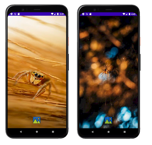 Android application Fondos de Arañas screenshort