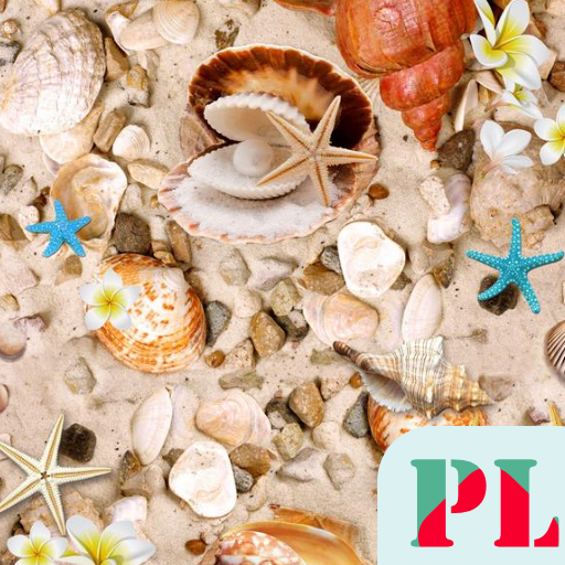 Seashell Wallpapers