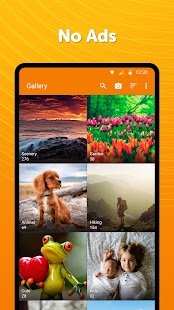 Simple Gallery Pro: Photos Screenshot