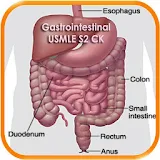 Gastrointestinal USMLE S2CK QA icon