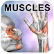 Learn Muscles: Anatomy - Androidアプリ