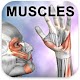 Learn Muscles: Anatomy विंडोज़ पर डाउनलोड करें