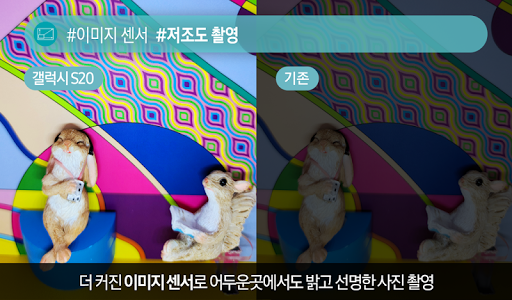 포시 컨텐츠 토끼 Screen 3