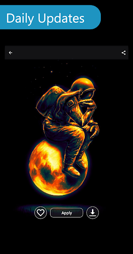 Black Wallpaper  HD Wallpaper