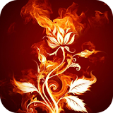 Fire Wallpapers icon