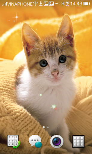 Cat Live Wallpaper HD 4K Screenshot 4 - AppWisp.com