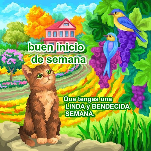 Feliz fin de semana y inicio