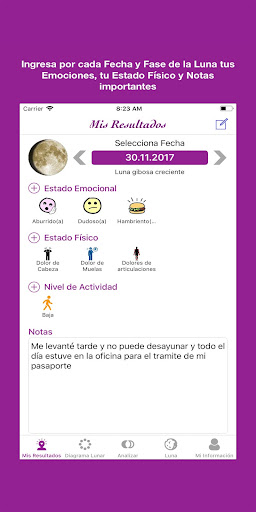 Vista previa de la aplicación
