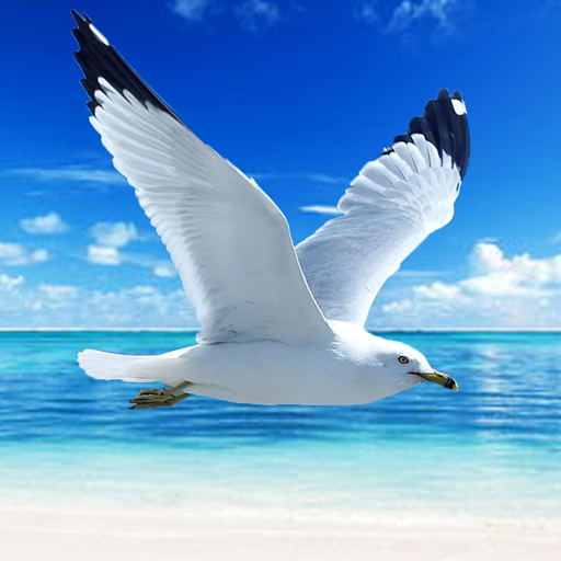 The Seagull logo