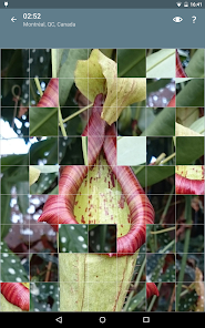 Imágen 15 Rompecabezas: Flores android