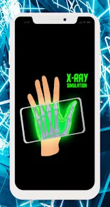 X-Ray Body Scanner Simulator