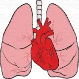 CardioPulmonary Sounds icon