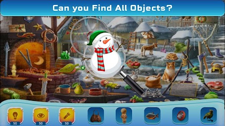 Winter Hidden Objects