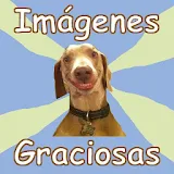 Imagenes Graciosas icon
