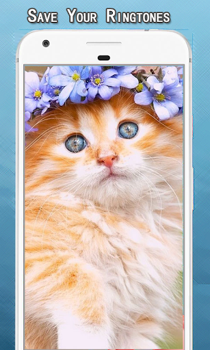 Cat Sounds Ringtone Screen 3