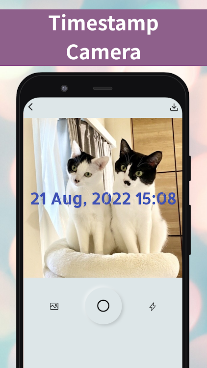 Timestamp Camera-Add Date Time by nosuke - (Android Apps) — AppAgg
