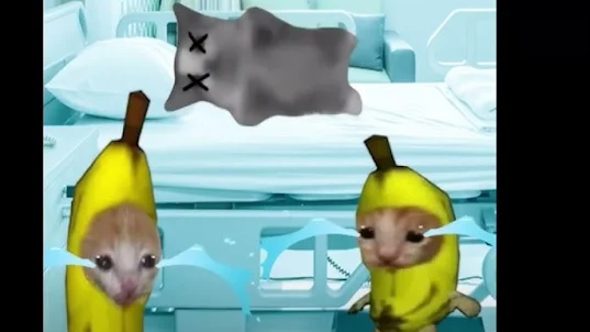 Banana Cat Crying