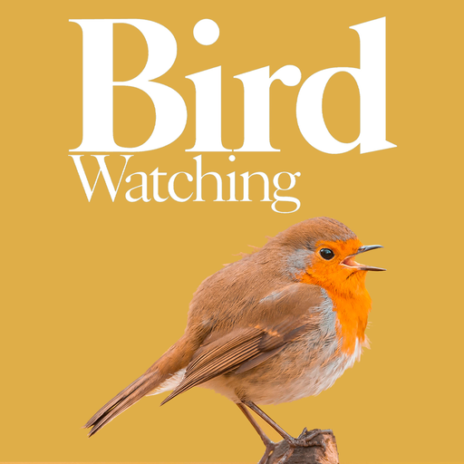Bird Watching Magazine