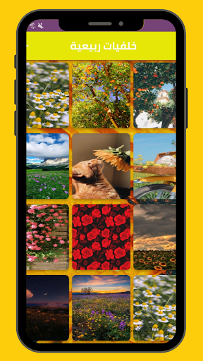 Android application خلفيات ربيعية screenshort