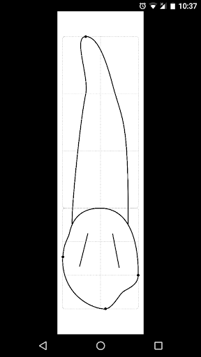Dental Anatomy Screen 3
