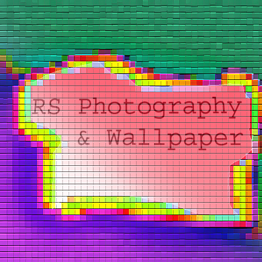 Photography & Wallpapers logo