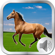 Top 30 Entertainment Apps Like Horse Sounds Ringtones - Best Alternatives