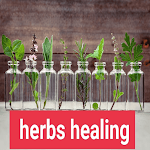 Cover Image of Télécharger herbs healing  APK