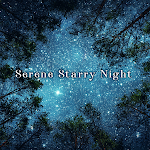 Cover Image of Download Serene Starry Night  APK