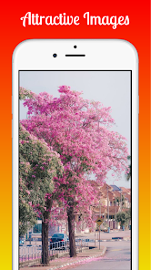 Captura de Pantalla 2 Cherry Blossom 4K Wallpapers android