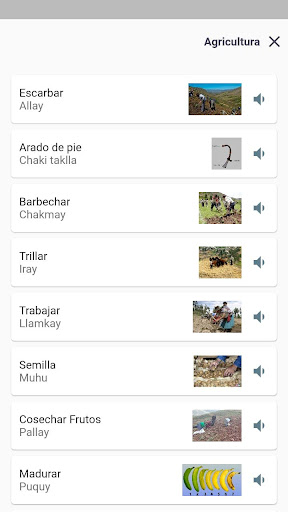 QuechuaChanka Screenshot 2 - AppWisp.com