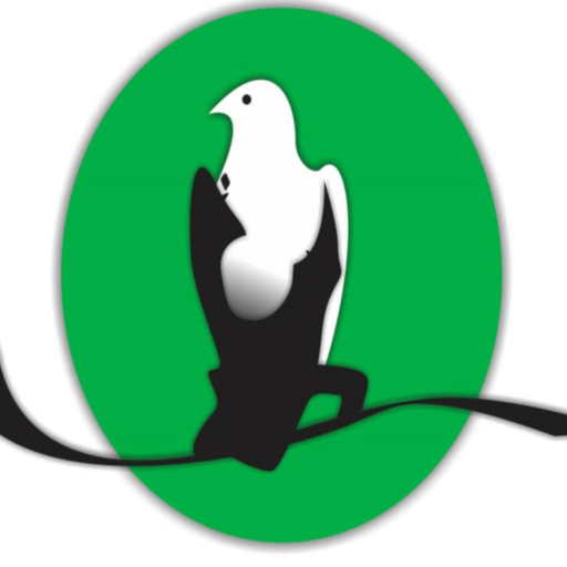 Eagles GA Ultimate logo