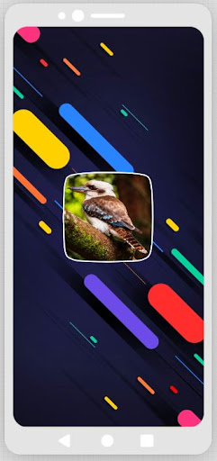 Android application Kookaburra Sounds screenshort
