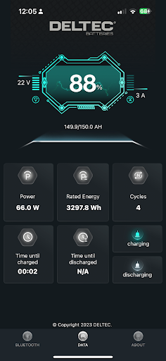DELTEC Screen 2