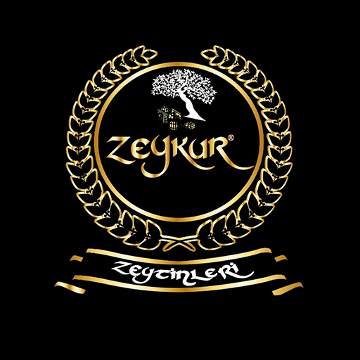 Zeykur logo