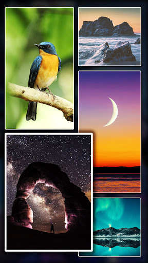 Android application 4K HD Nature Wallpapers 4D Bac screenshort