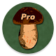 Справочник грибника PRO Скачать для Windows