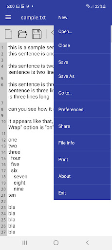 Text Editor w/ Ads Screen 2