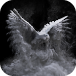 Cover Image of Tải xuống Ghost Eagle Wallpaper HD Theme  APK