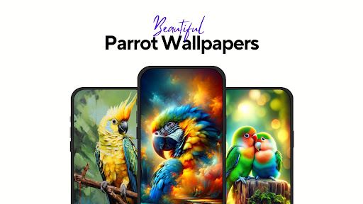 Android application Parrot Wallpapers Cute 4K - HD screenshort