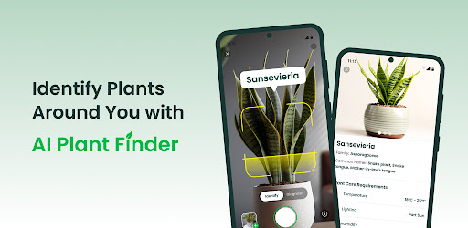AI Plant Finder & Identifier
