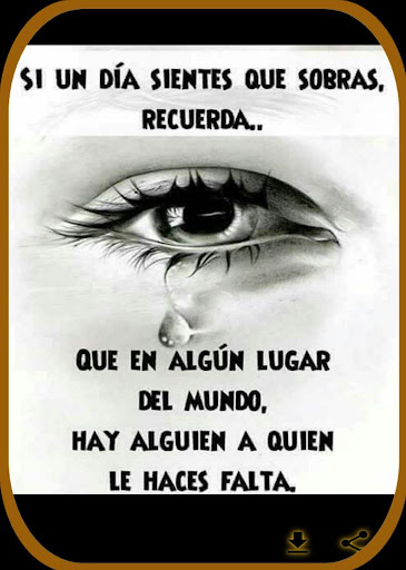 Android application frases sabias con imágenes screenshort
