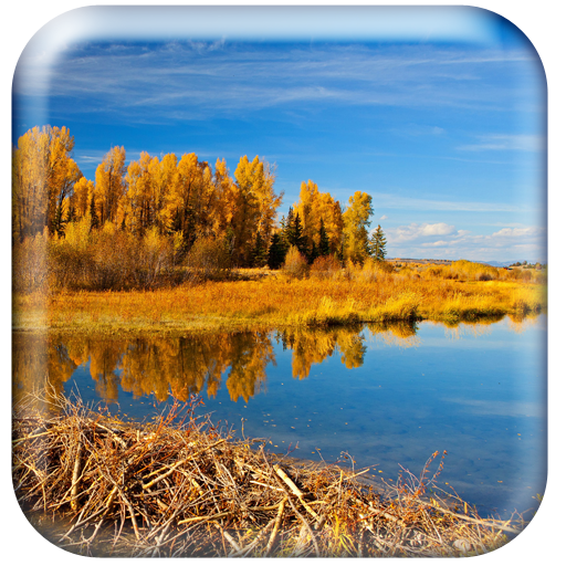 Autumn Wallpaper HD logo