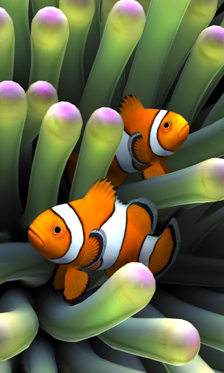 Sim Aquarium Live Wallpaper - 1.1.0 LWP - (Android)