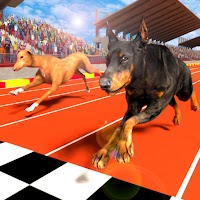 Greyhound Dog Racing Fever – Pet Racing Challenge