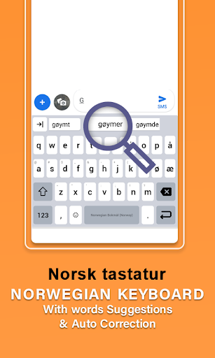 Norwegian Language Typing app