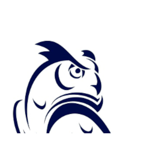 Les ducs de Lunéville logo