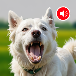 Dog Barking Sounds App: Download & Review